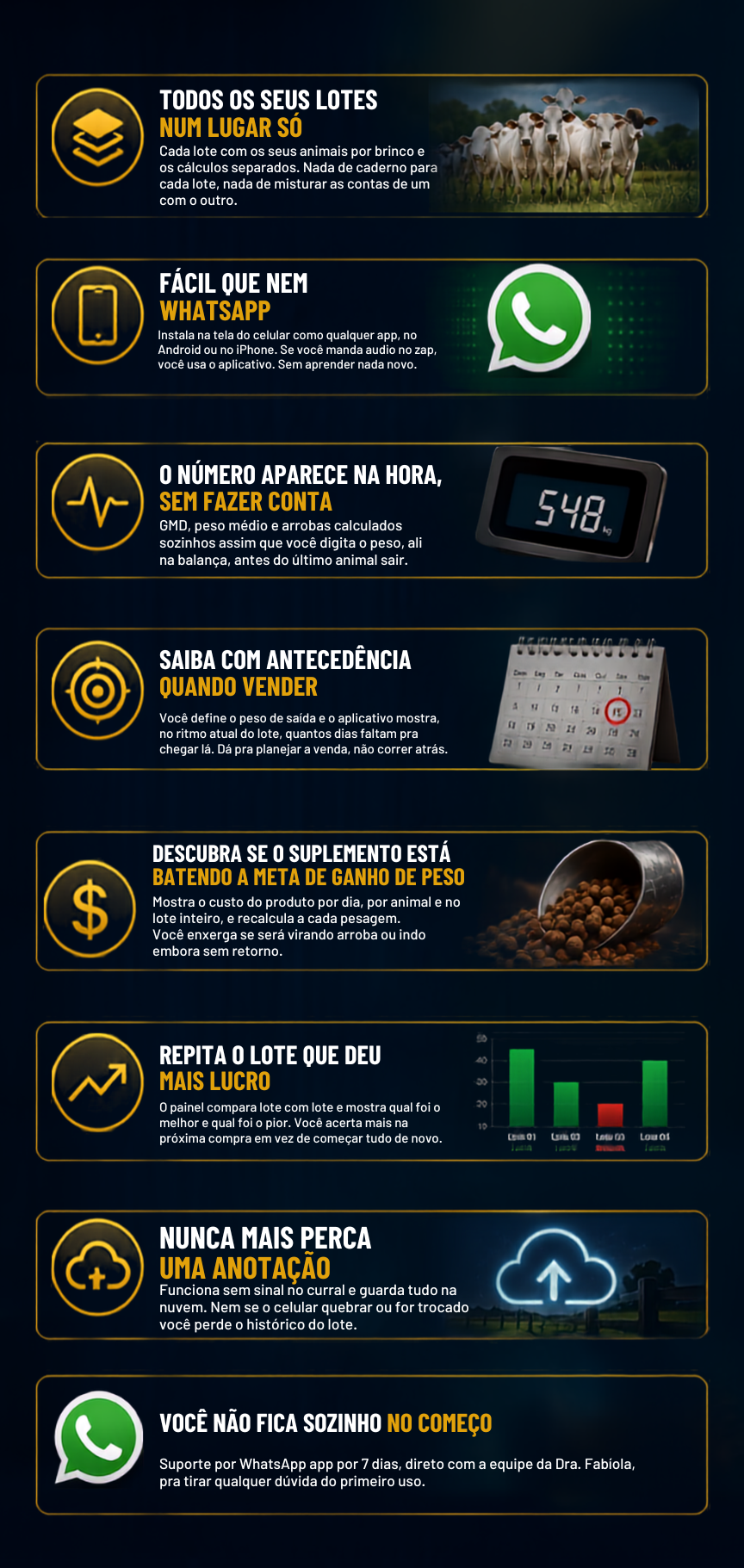 O que muda para você com o Engorda na Palma da Mão